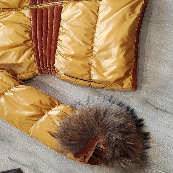 Yellow jacket - Picture 4 of 6